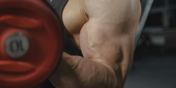 Close Up Shot of Man's Muscles