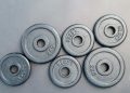 Six Assorted Weight Plates